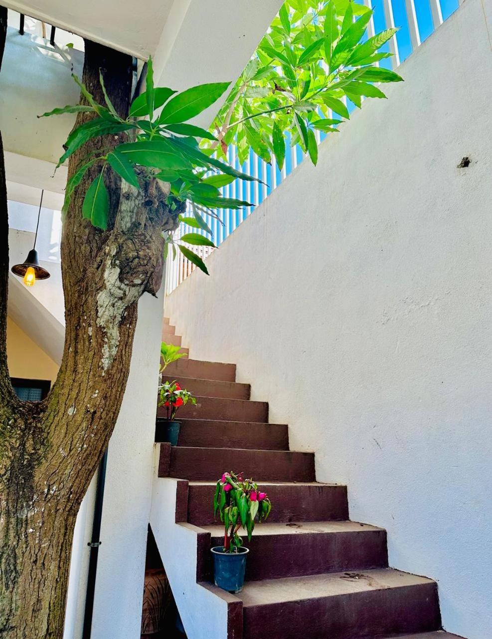 Sea Breeze Guest House Negombo Esterno foto